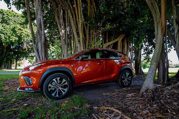 2020 Lexus NX 300 F Sport imagen Puros