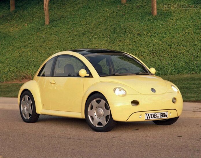 Beetle.jpg
