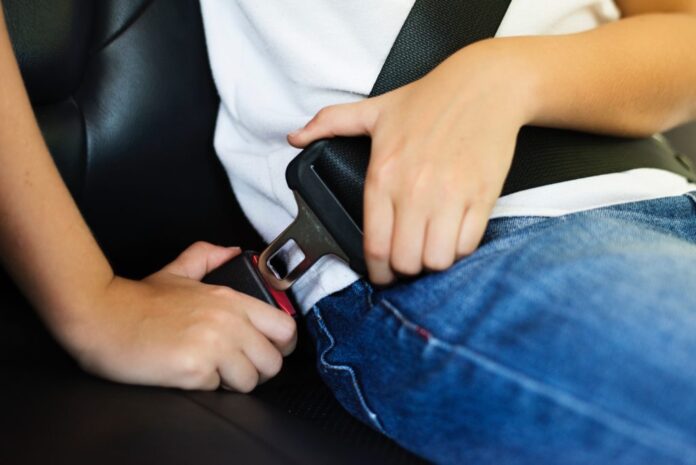 seatbelt@large.jpg